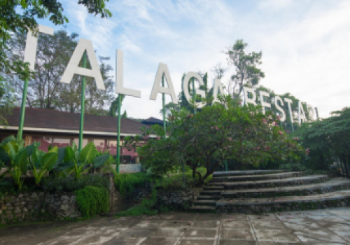 Jungle Walk